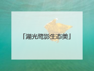 湖光鹭影生态美