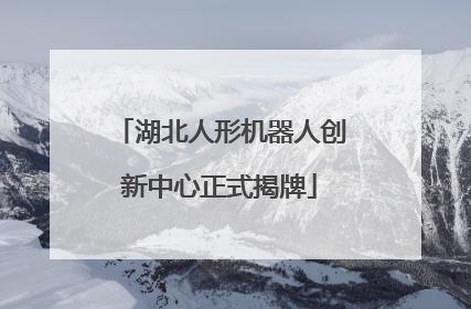 湖北人形机器人创新中心正式揭牌