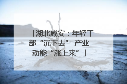 湖北咸安：年轻干部“沉下去” 产业动能“涨上来”