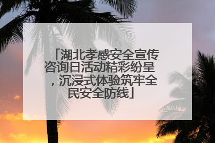 湖北孝感安全宣传咨询日活动精彩纷呈，沉浸式体验筑牢全民安全防线