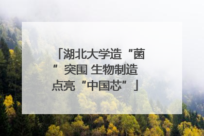 湖北大学造“菌”突围 生物制造点亮“中国芯”