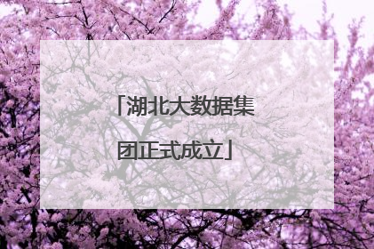 湖北大数据集团正式成立