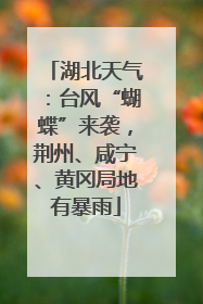 湖北天气：台风“蝴蝶”来袭，荆州、咸宁、黄冈局地有暴雨