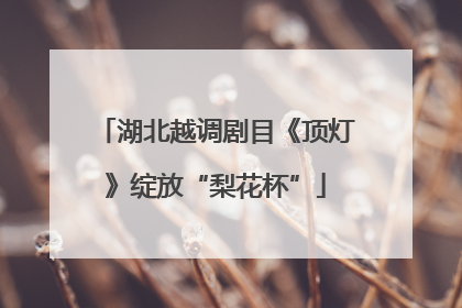 湖北越调剧目《顶灯》绽放“梨花杯”