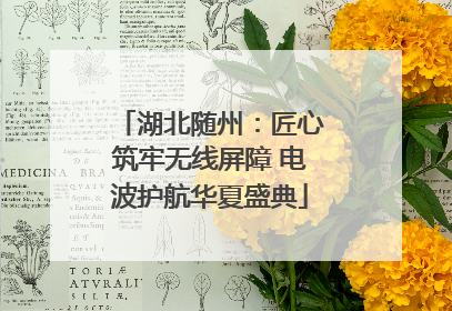 湖北随州：匠心筑牢无线屏障 电波护航华夏盛典