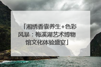 湘绣香囊养生+色彩风暴：梅溪湖艺术博物馆文化体验盛宴