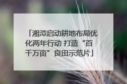 湘潭启动耕地布局优化两年行动 打造“百千万亩”良田示范片