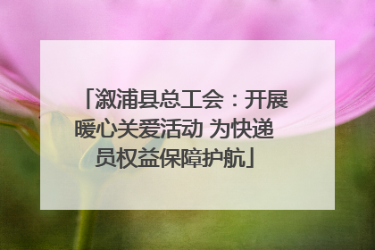 溆浦县总工会：开展暖心关爱活动 为快递员权益保障护航