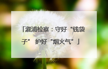 溆浦检察：守好“钱袋子” 护好“烟火气”