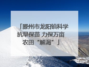 滕州市龙阳镇科学抗旱保苗 力保万亩农田“解渴”