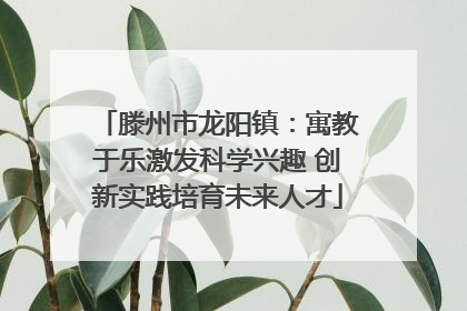 滕州市龙阳镇：寓教于乐激发科学兴趣 创新实践培育未来人才