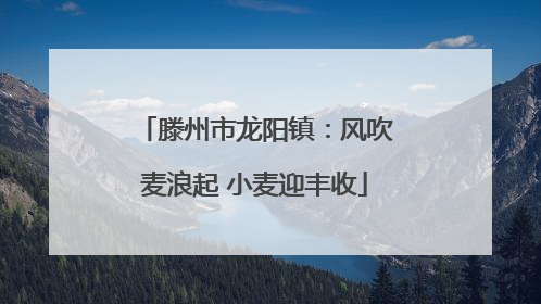 滕州市龙阳镇：风吹麦浪起 小麦迎丰收