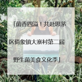 菌香四溢！共赴思茅区倚象镇大寨村第二届野生菌美食文化季