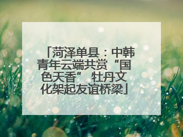 菏泽单县：中韩青年云端共赏“国色天香” 牡丹文化架起友谊桥梁