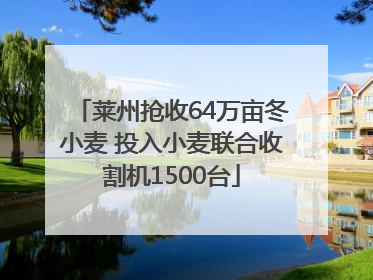 莱州抢收64万亩冬小麦 投入小麦联合收割机1500台