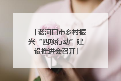 老河口市乡村振兴“四项行动”建设推进会召开