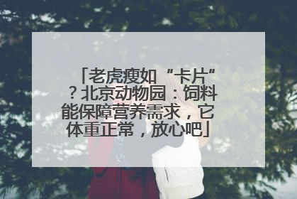 老虎瘦如“卡片”？北京动物园：饲料能保障营养需求，它体重正常，放心吧