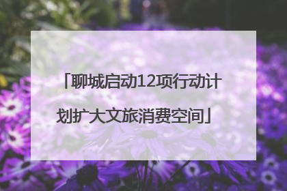 聊城启动12项行动计划扩大文旅消费空间