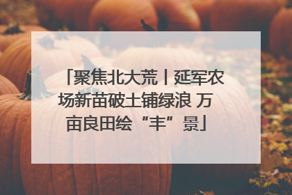 聚焦北大荒丨延军农场新苗破土铺绿浪 万亩良田绘“丰”景