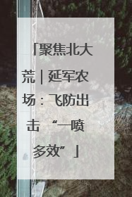 聚焦北大荒｜延军农场：飞防出击 “一喷多效”