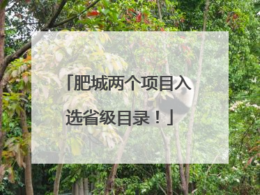 肥城两个项目入选省级目录！