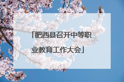 肥西县召开中等职业教育工作大会