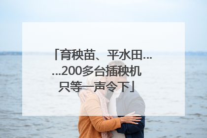 育秧苗、平水田……200多台插秧机只等一声令下