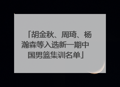 胡金秋、周琦、杨瀚森等入选新一期中国男篮集训名单