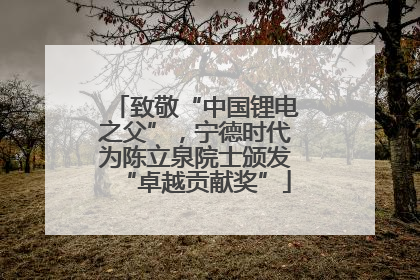 致敬“中国锂电之父”，宁德时代为陈立泉院士颁发“卓越贡献奖”