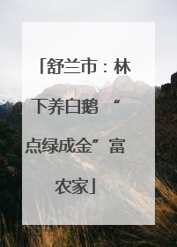 舒兰市：林下养白鹅 “点绿成金”富农家