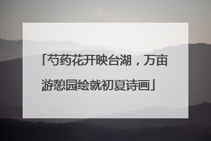 芍药花开映台湖，万亩游憩园绘就初夏诗画