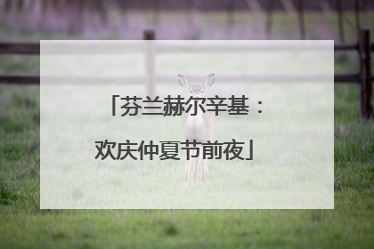芬兰赫尔辛基：欢庆仲夏节前夜