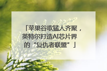 苹果谷歌猛人齐聚，英特尔打造AI芯片界的“复仇者联盟”