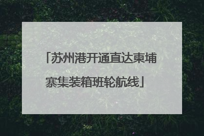 苏州港开通直达柬埔寨集装箱班轮航线