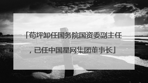 苟坪卸任国务院国资委副主任，已任中国星网集团董事长