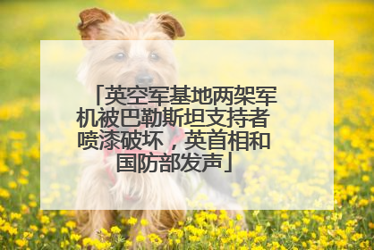 英空军基地两架军机被巴勒斯坦支持者喷漆破坏，英首相和国防部发声
