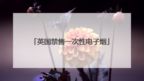 英国禁售一次性电子烟