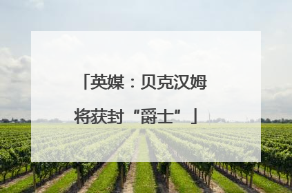 英媒：贝克汉姆将获封“爵士”