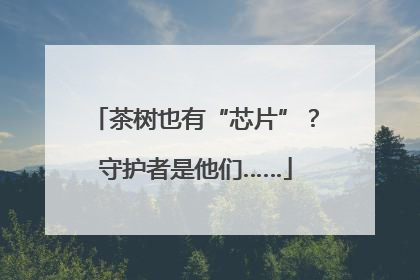 茶树也有“芯片”？守护者是他们……
