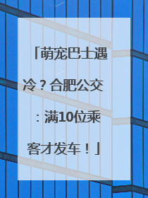 萌宠巴士遇冷？合肥公交：满10位乘客才发车！