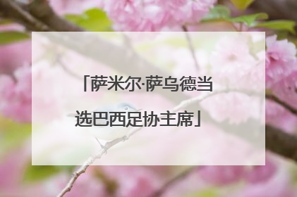 萨米尔·萨乌德当选巴西足协主席