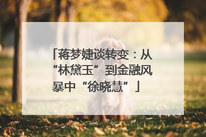蒋梦婕谈转变：从“林黛玉”到金融风暴中“徐晓慧”