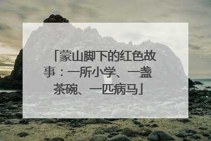 蒙山脚下的红色故事：一所小学、一盏茶碗、一匹病马