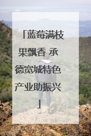 蓝莓满枝果飘香 承德宽城特色产业助振兴