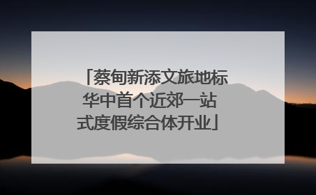 蔡甸新添文旅地标 华中首个近郊一站式度假综合体开业