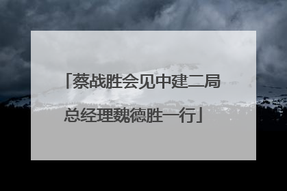 蔡战胜会见中建二局总经理魏德胜一行