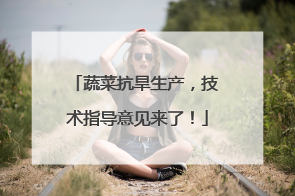 蔬菜抗旱生产，技术指导意见来了！
