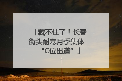 藏不住了！长春街头耐寒月季集体“C位出道”
