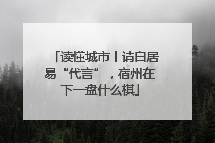 读懂城市丨请白居易“代言”，宿州在下一盘什么棋