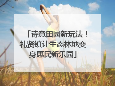 诗意田园新玩法！礼贤镇让生态林地变身惠民新乐园